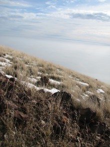 winter grass and fog on Haystack Butte